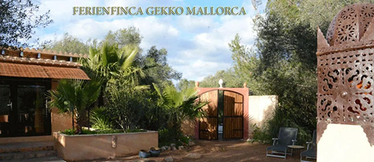 Prázdninový dům Vila Ferienfinca Gekko Mallorca Santanyí