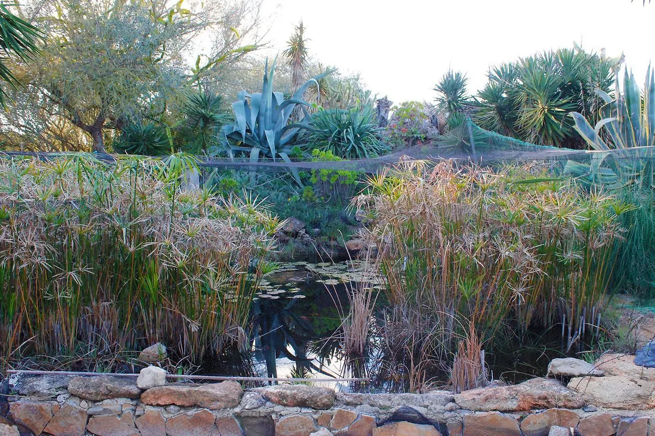 Vila Ferienfinca Gekko Mallorca Santanyí Prázdninový dům