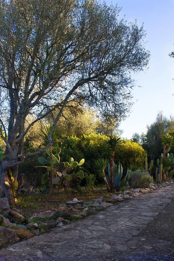 Ferienfinca Gekko Mallorca Villa Santanyi
