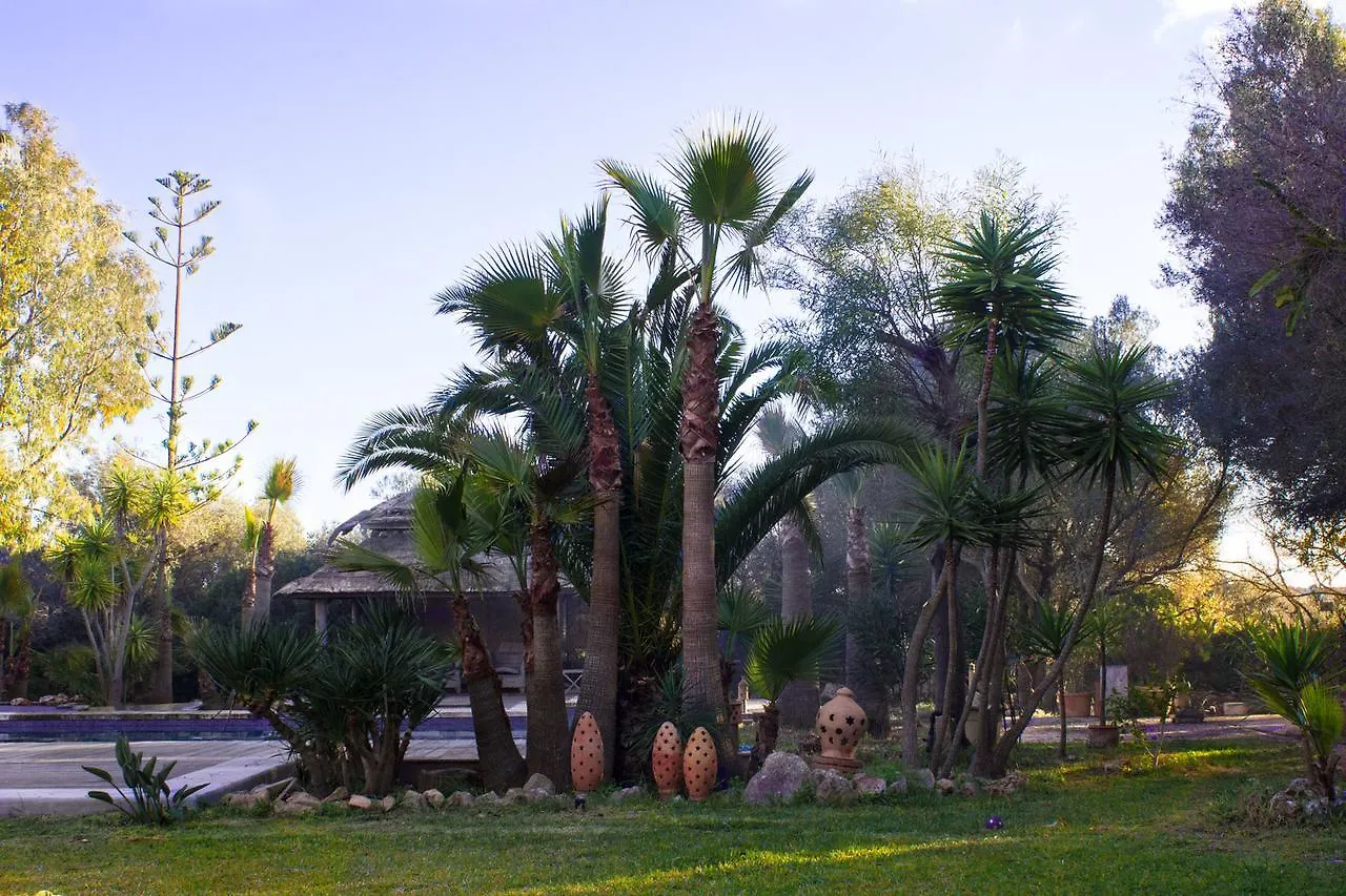 Ferienfinca Gekko Mallorca Villa Santanyi