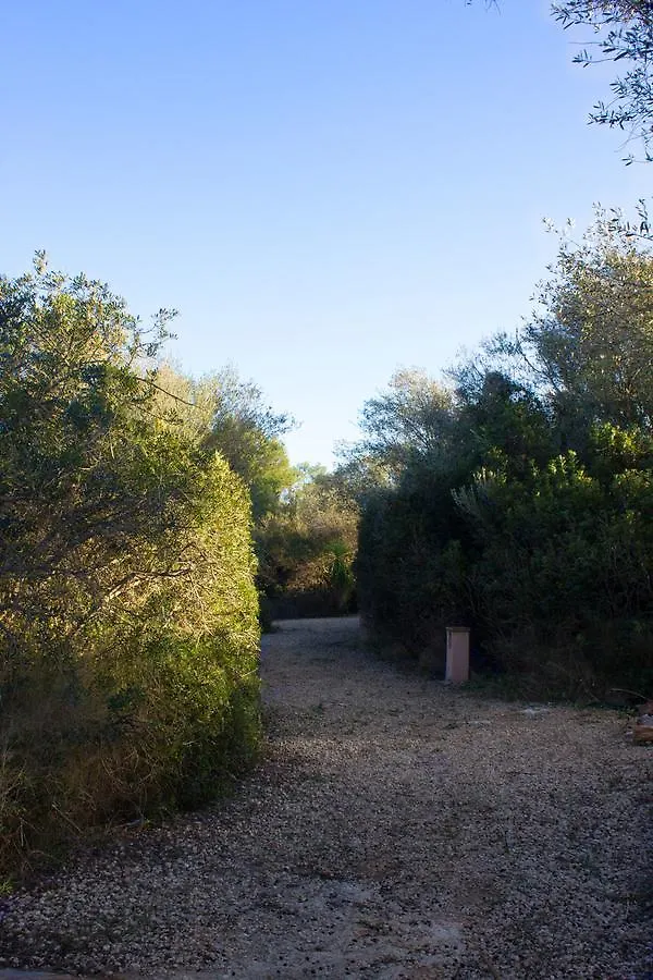 Ferienfinca Gekko Mallorca Villa Santanyi Spain