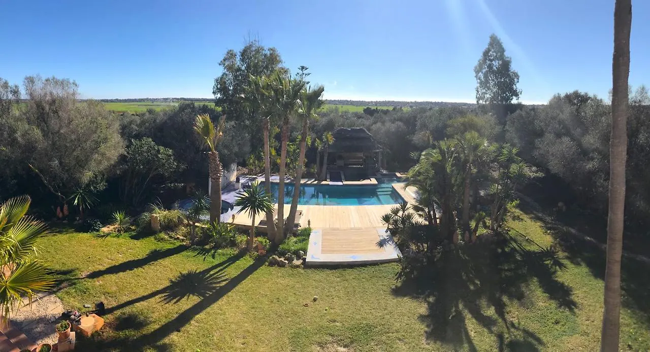 Ferienfinca Gekko Mallorca Villa Santanyi Holiday home