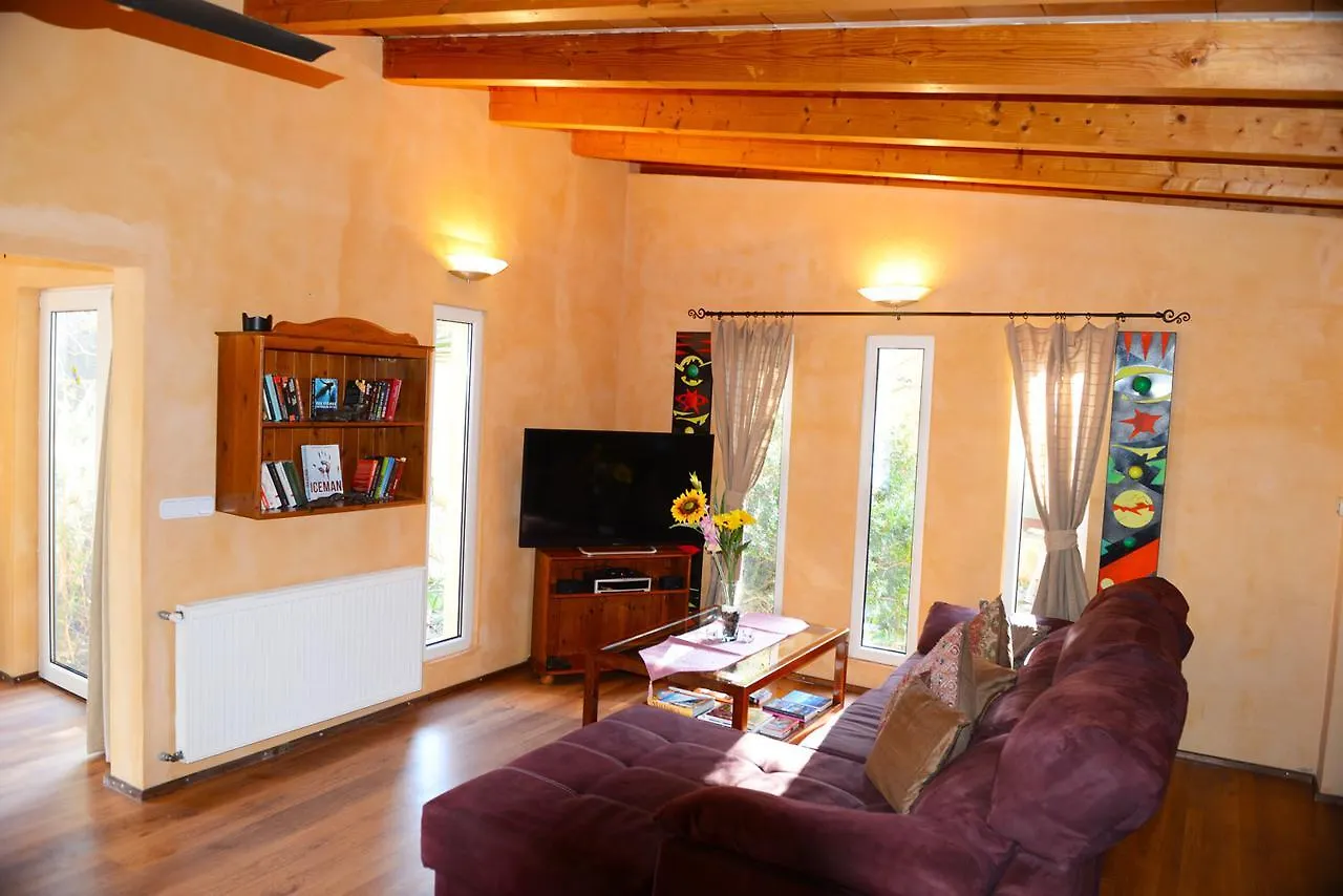 Ferienfinca Gekko Mallorca Villa Santanyi Holiday home