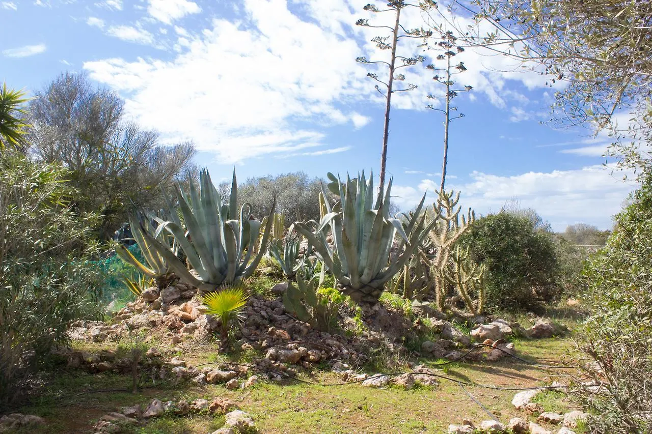 Ferienfinca Gekko Mallorca Villa Santanyi 0*,  Spain