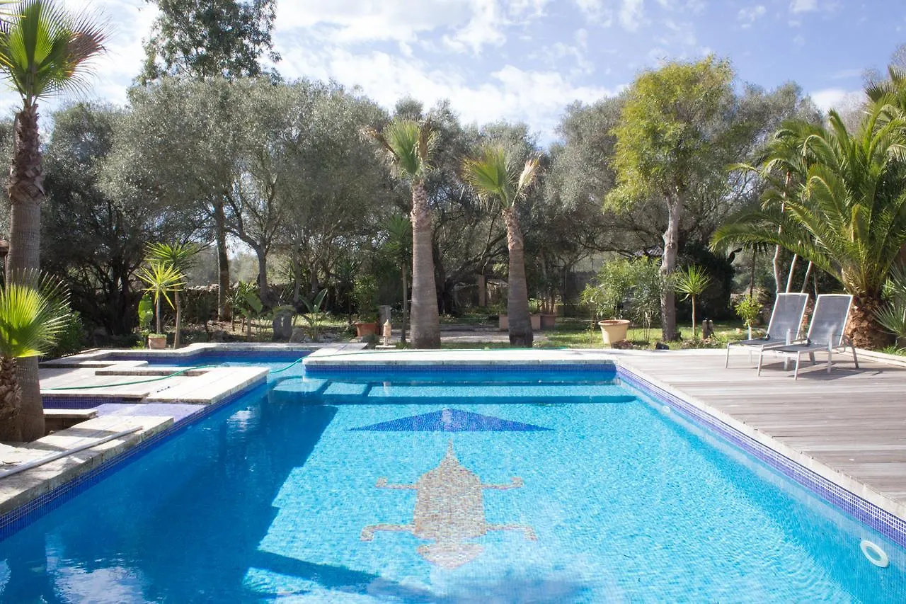 Ferienfinca Gekko Mallorca Villa Santanyi 0*,  Spain