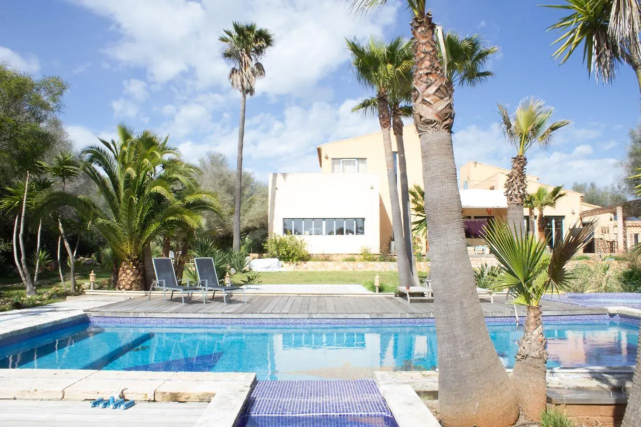 Ferienfinca Gekko Mallorca Villa Santanyi Holiday home